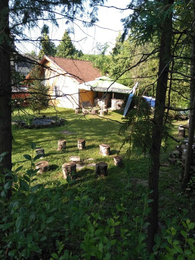 Nemeth Apartman Palic Bagian luar foto